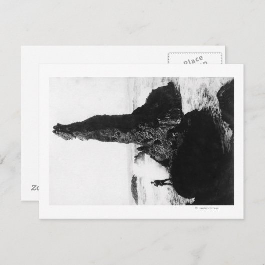 Das Duchess Rock in Newport, Oregon Postkarte (Vorne/Hinten)