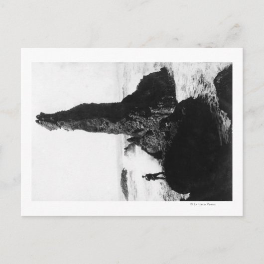 Das Duchess Rock in Newport, Oregon Postkarte (Vorderseite)