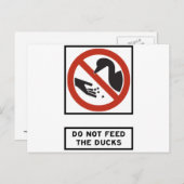 Das Ducks-Highway-Zeichen darf nicht Gefüttert wer Postkarte (Vorne/Hinten)