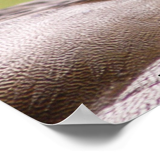 Das Ducks Poster gerettet (Ecke)