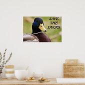 Das Ducks Poster gerettet (Küche)