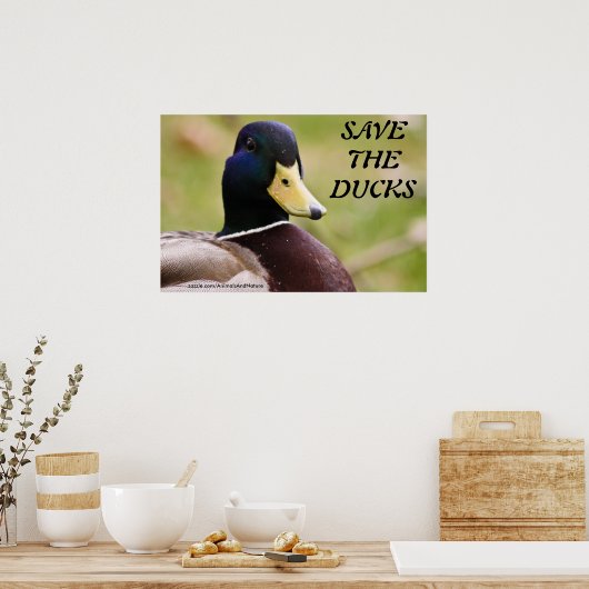 Das Ducks Poster gerettet (Küche)