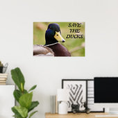 Das Ducks Poster gerettet (Heimbüro)