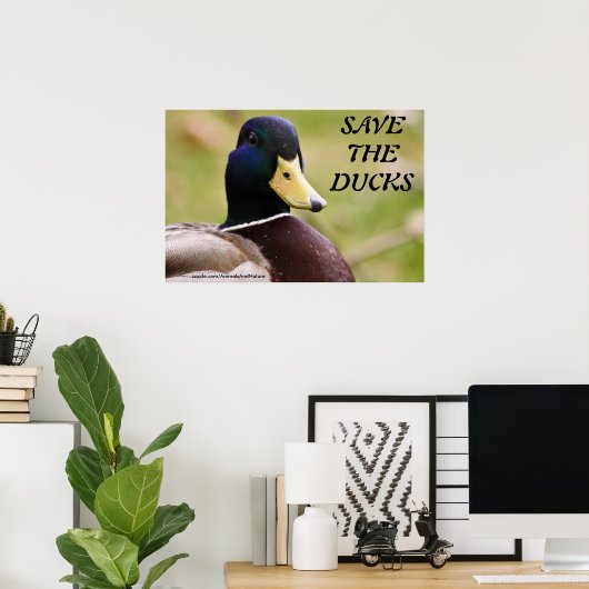 Das Ducks Poster gerettet (Heimbüro)