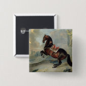 Das dunkle Buchtpferd 'Valido Button (Vorne & Hinten)