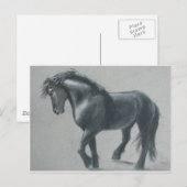 Das dunkle Pferd Postkarte (Vorne/Hinten)