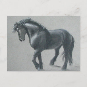 Das dunkle Pferd Postkarte