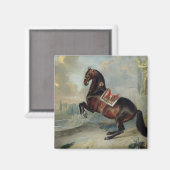 Das dunkle Pferd "Valido" Magnet (Vorderseite/Rückseite)