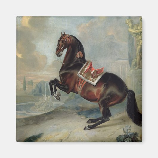 Das dunkle Pferd "Valido" Magnet (Vorne)