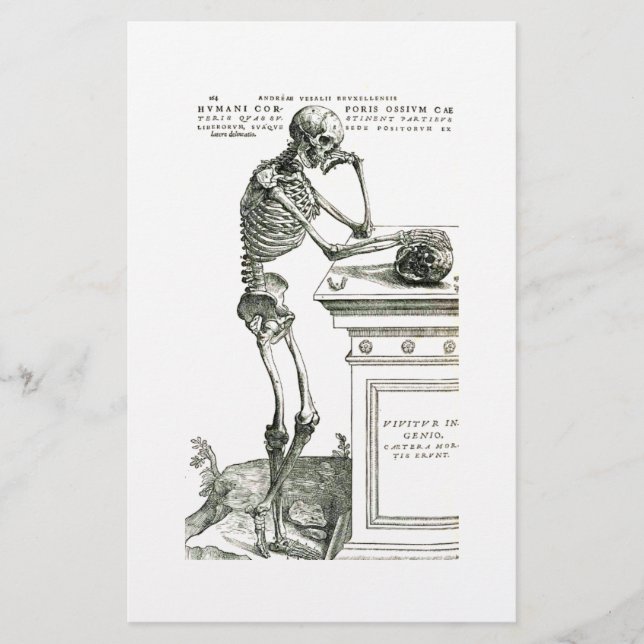 Das durchdachte Skelett (Vorderseite)