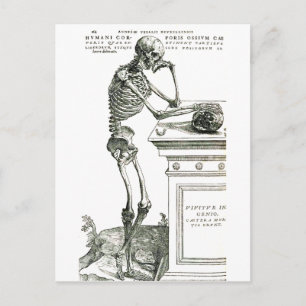 Das durchdachte Skelett Postkarte