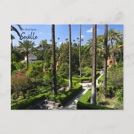 Das echte Spanien - Sevilla Postkarte (Vorderseite)