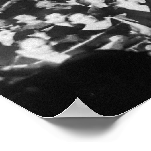 Das ehemalige Opernhaus der Metropoliten, 39. Poster (Ecke)