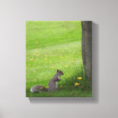 Das Eichhörnchen im Gras Leinwanddruck (Vorderseite)