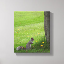 Das Eichhörnchen im Gras Leinwanddruck