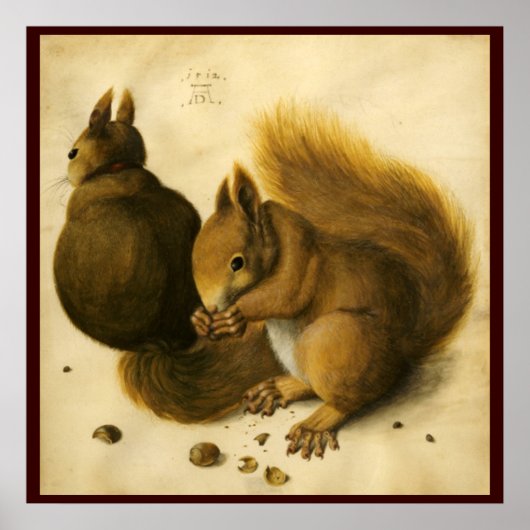 DAS EICHHÖRNCHEN MIT NÜSSEN POSTER (Vorne)