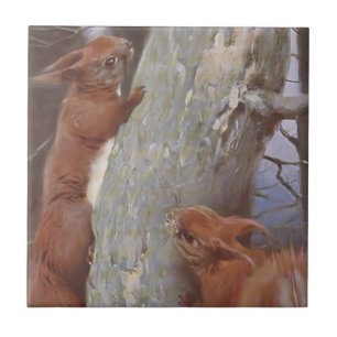 DAS EICHHÖRNCHEN (Sciurus vulgaris) Fliese