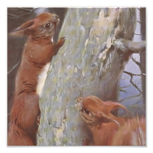 DAS EICHHÖRNCHEN (Sciurus vulgaris) Fotodruck