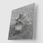 Das Eichhörnchen tat es Quadratische Wanduhr (Winkel)