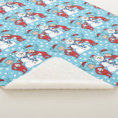 Das eine ist das zwei Schneemanagementmuster Sherpadecke (3/4)