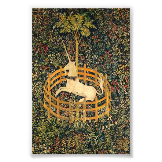 Das Einhorn in Gefangenschaft Fotodruck (Vorne)