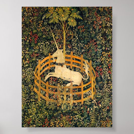 Das Einhorn in Gefangenschaft Poster (Vorne)