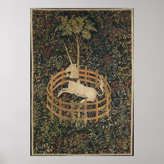 Das Einhorn in Gefangenschaft Poster (Vorne)