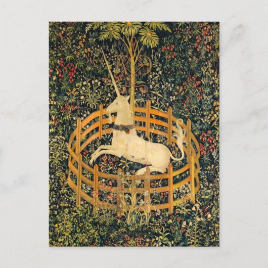 Das Einhorn in Gefangenschaft Postkarte (Vorderseite)