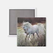 Das Einhorn Magnet (Vorderseite/Rückseite)