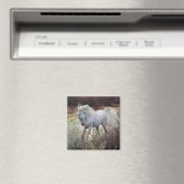 Das Einhorn Magnet (In Situ (Geschirrspüler))