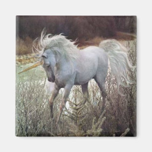 Das Einhorn Magnet