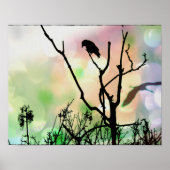Das einsame Crow-Poster Poster (Vorne)