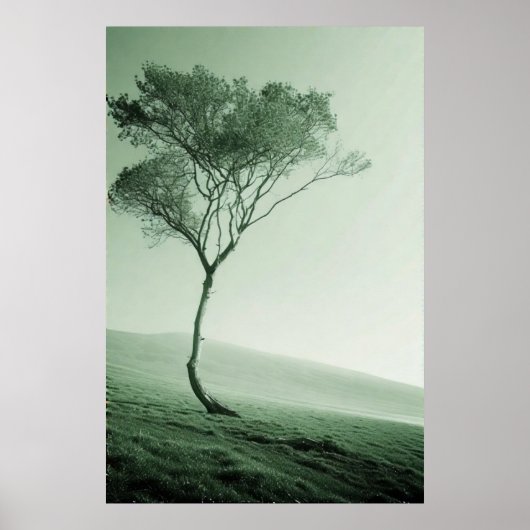 Das einsame Enteninel: Ein winziger Baum Poster (Vorne)
