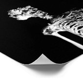 Das Elefantenskelett Poster (Ecke)