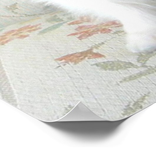 Das elegante Papillon Poster (Ecke)