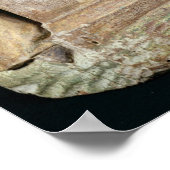 Das Emtombment Poster (Ecke)