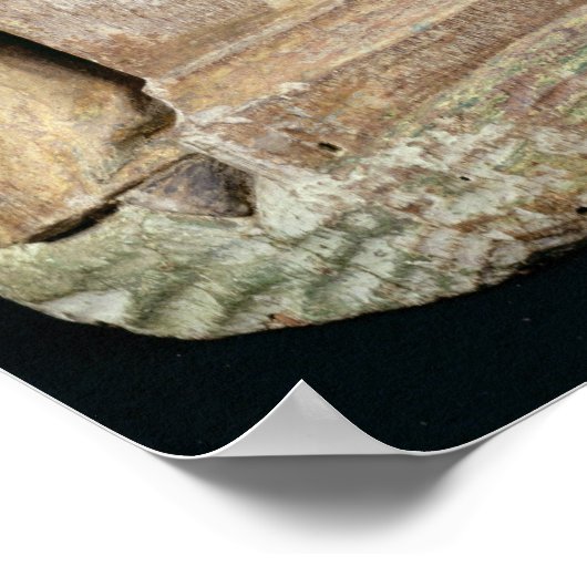 Das Emtombment Poster (Ecke)