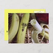 das Ende des Obstkorbes Postkarte (Vorne/Hinten)