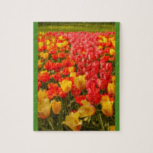 DAS ERBLÜHEN DER TULPEN IN EINEM PARK  Fotopuzzle