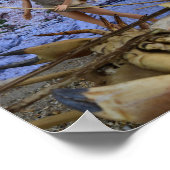 Das erfolgreiche Poster der Jagd (Ecke)