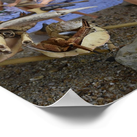 Das erfolgreiche Poster der Jagd (Ecke)