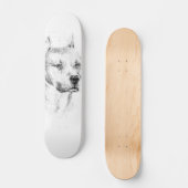 Das erschöpfte Pitbull Skateboard (Vorderseite)