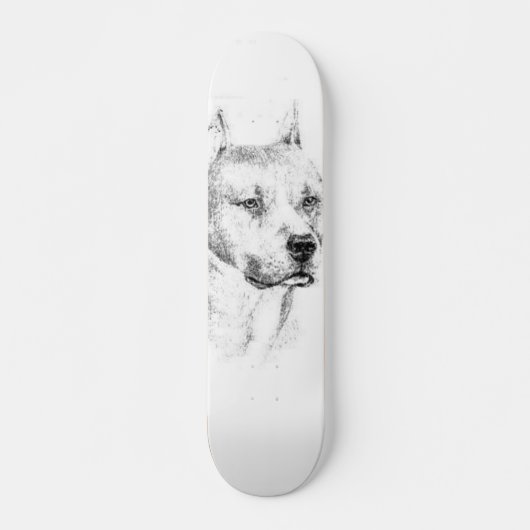 Das erschöpfte Pitbull Skateboard (Vorne)