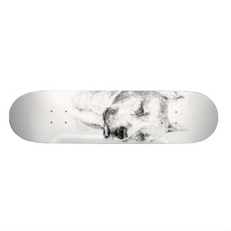 Das erschöpfte Pitbull Skateboard