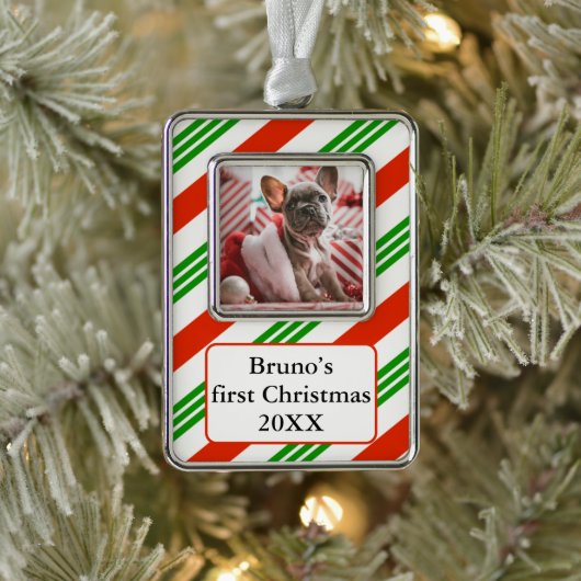 Das erste Foto von Striped Candy Cane Pet Rahmen-Ornament Silber (Baum)