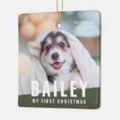 Das erste Weihnachtsjahr des Hauses mit maßgeschne Keramikornament (Links)