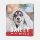 Das erste Weihnachtsjahr des Hauses mit maßgeschne Keramikornament (Links)