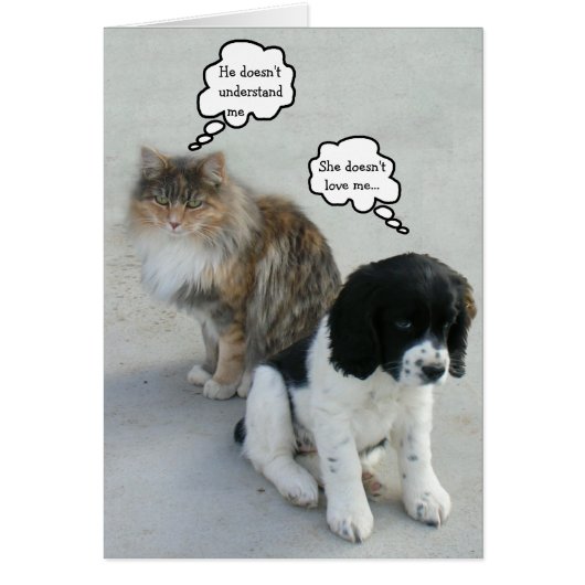 Das ewige Missverständnis.. (Vorne)