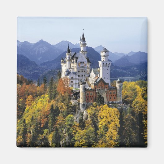 Das fantasievolle Neuschwanstein ist eines von dre Magnet (Vorne)