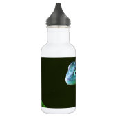 Das fantastische Chamäleon Trinkflasche (Links)